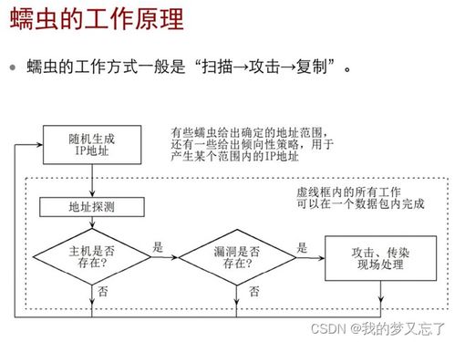 防御保护 内容安全